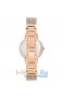 Anne Klein 3806SVRG