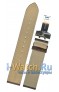 Casio  BEM-507L-7AV