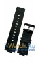 Casio  BGD-100