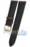 Casio  EFR-526L-7AV