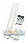 Casio  GD-100SC-7