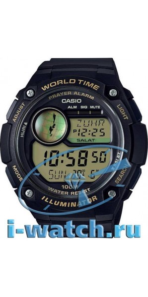Casio CPA-100-9A