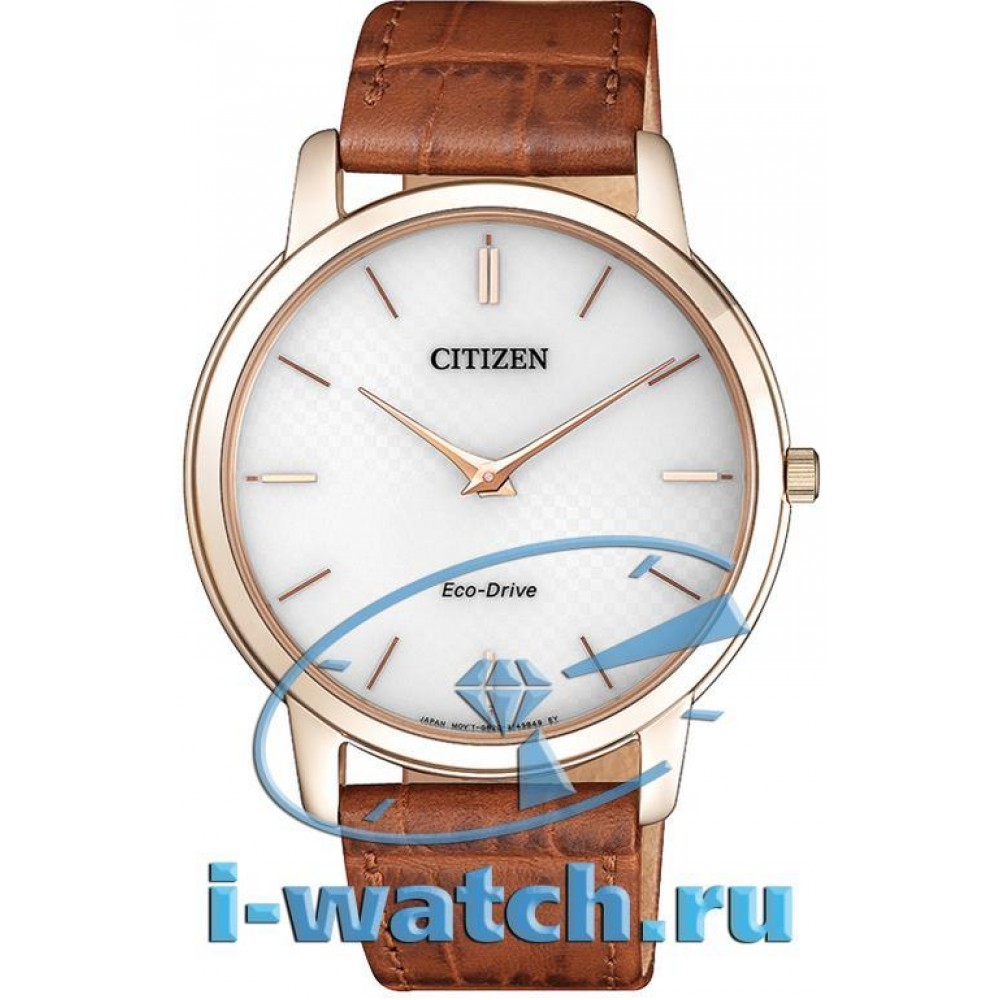Citizen eco drive watch price 2025