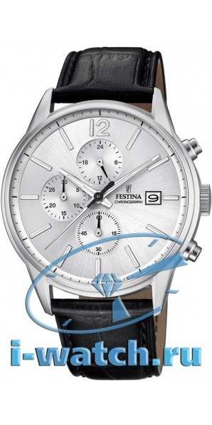 Festina F20284/1