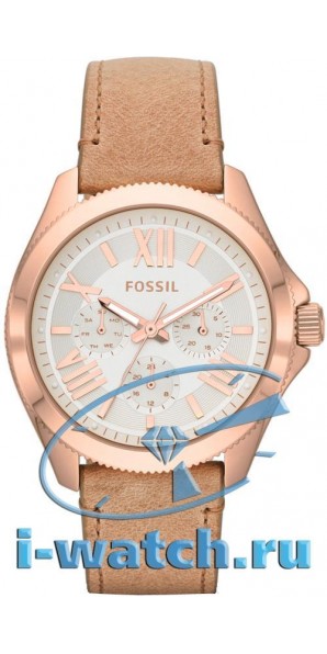 Fossil AM4532