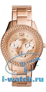 Fossil ES3590
