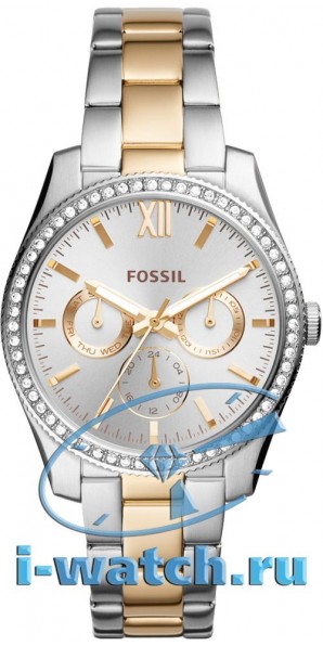 Fossil ES4316