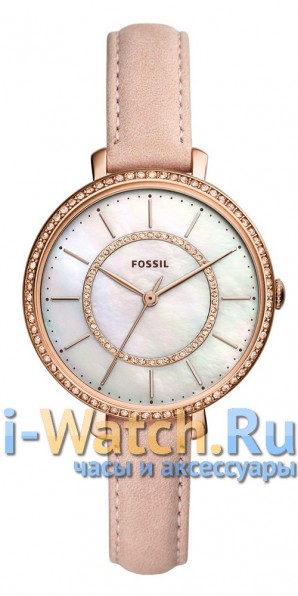 Fossil ES4455