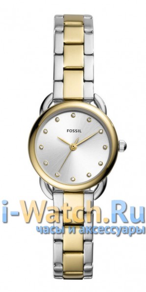 Fossil ES4498