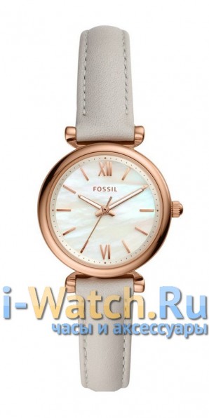 Fossil ES4529