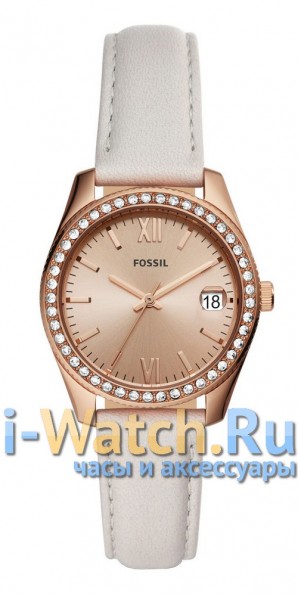 Fossil ES4556