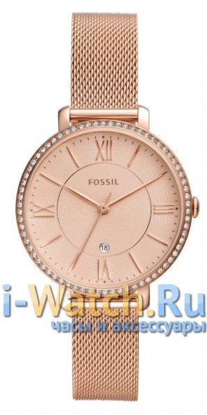 Fossil ES4628