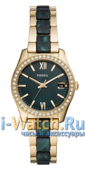 Fossil ES4676