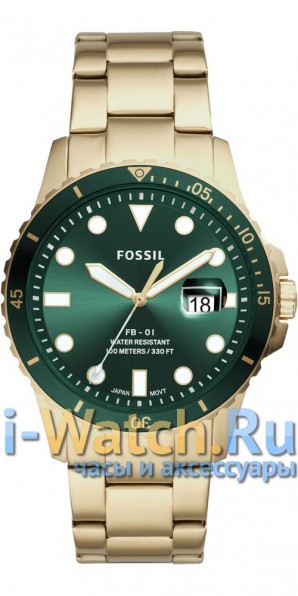 Fossil FS5658