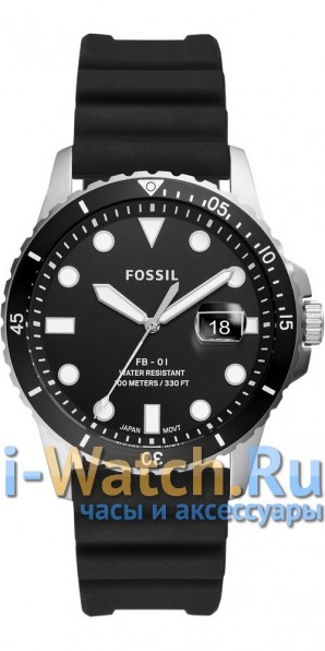 Fossil FS5660