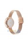 Obaku V206LRVWMV