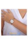 Obaku V206LRVWMV