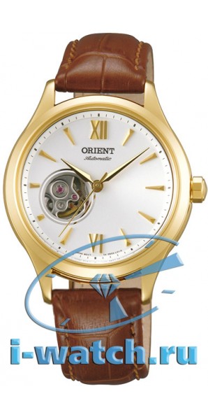 Orient DB0A003W