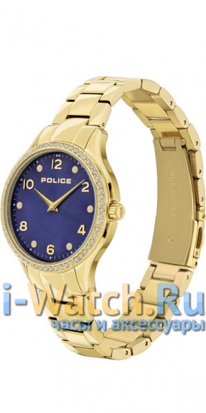 Police PL.14674BSG/46M