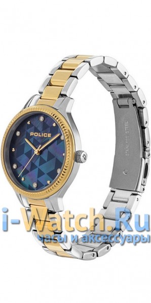Police PL.15695BSTG/D38M