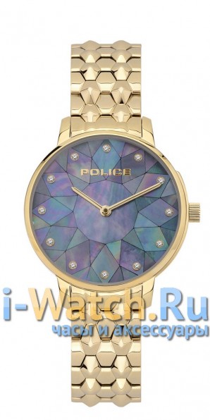Police PL.15700LSG/D58M