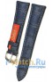 Rios 1931 508-2022/18