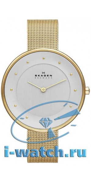 Skagen SKW2141
