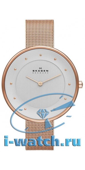 Skagen SKW2142