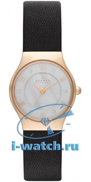 Skagen SKW2209
