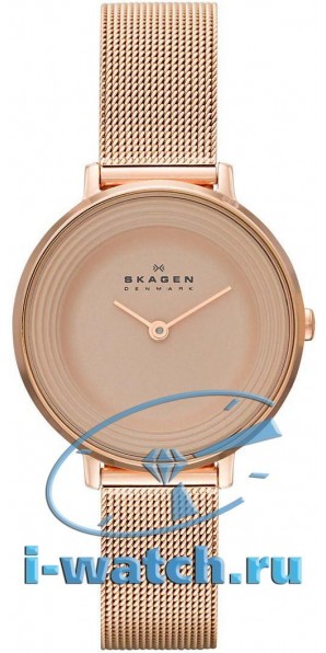 Skagen SKW2213