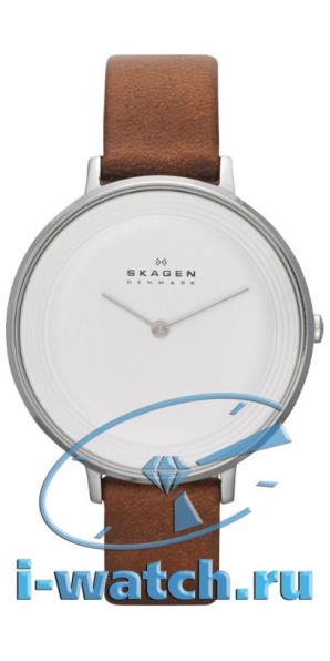 Skagen SKW2214
