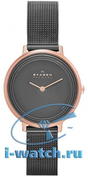 Skagen SKW2277