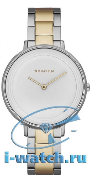 Skagen SKW2339