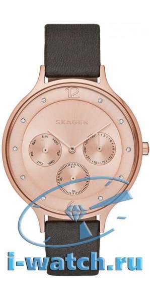 Skagen SKW2392