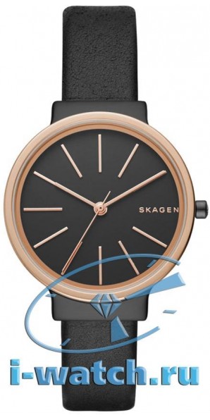 Skagen SKW2480