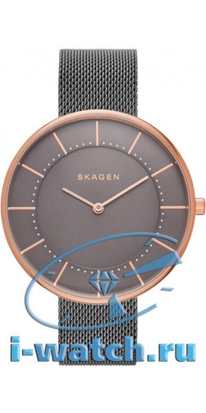 Skagen SKW2584