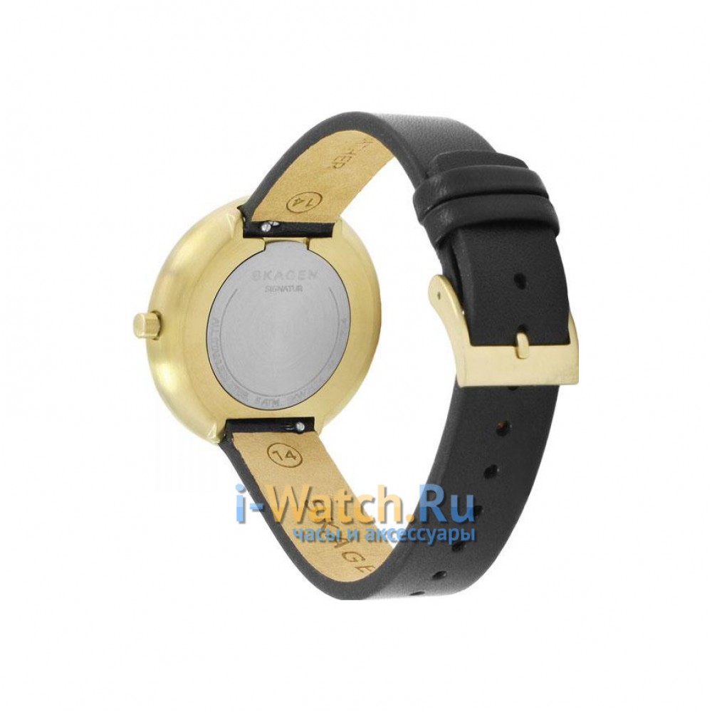 Skagen SKW2626 i Watch.Ru