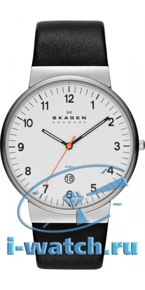 Skagen SKW6024