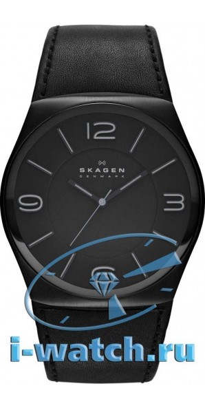 Skagen SKW6043