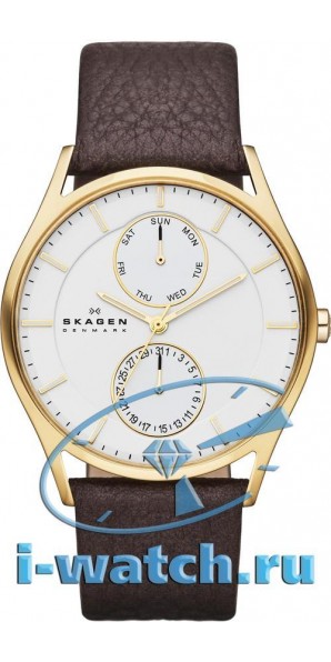 Skagen SKW6066