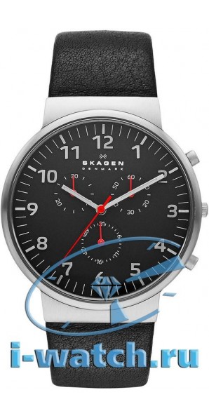Skagen SKW6100