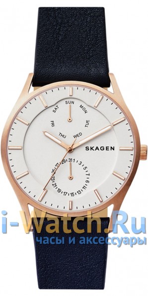 Skagen SKW6372