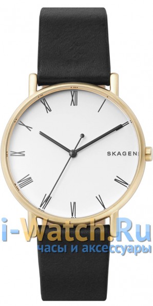 Skagen SKW6426