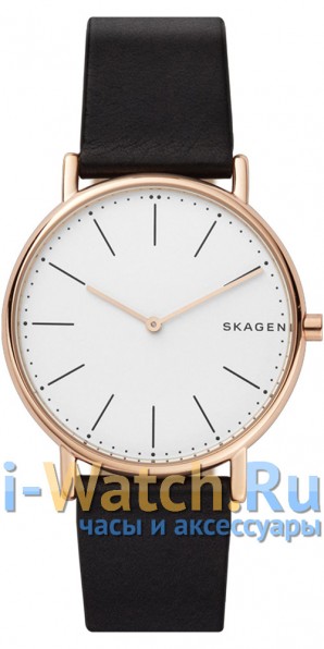 Skagen SKW6430