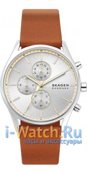 Skagen SKW6607