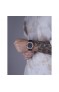 Wainer WA.10120-D