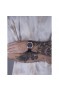 Wainer WA.10120-D