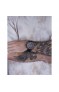 Wainer WA.10920-A