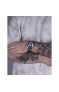 Wainer WA.12320-D