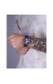 Wainer WA.12948-B